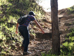 Striving out of life's situation. Photo by Eddie C, Singapore